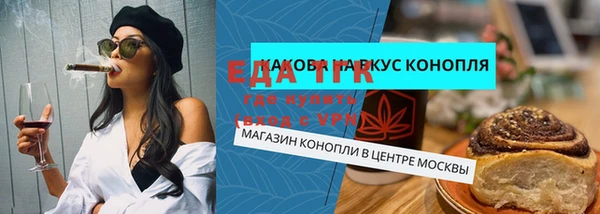 шишки Магас