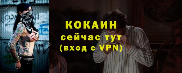 твердый Майский