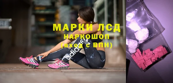 шишки Магас