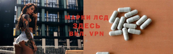 шишки Магас