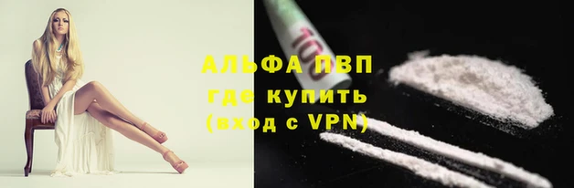 spice Мегион
