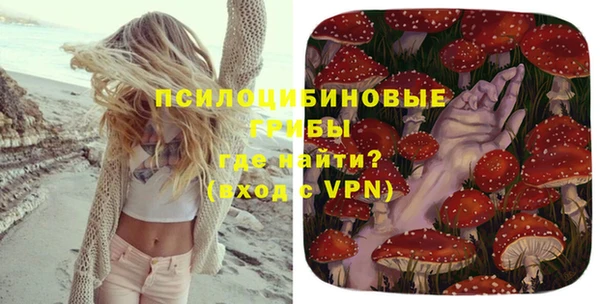 ешки Медногорск