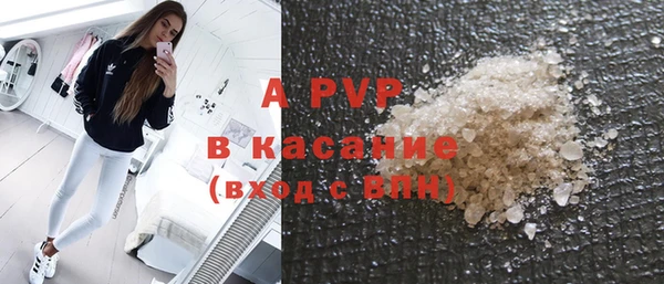 твердый Майский