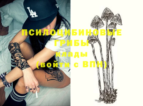 spice Мегион