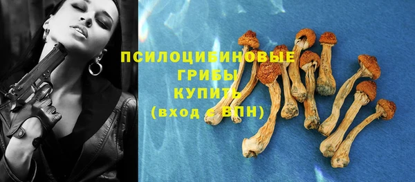 ешки Медногорск