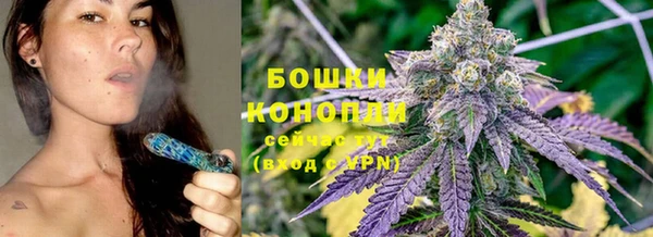 шишки Магас