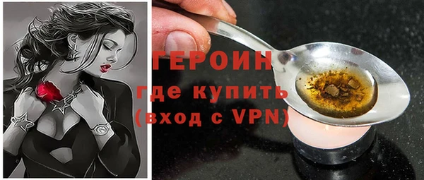 шишки Магас
