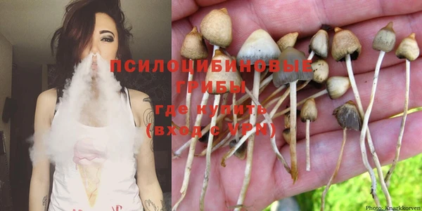 твердый Майский