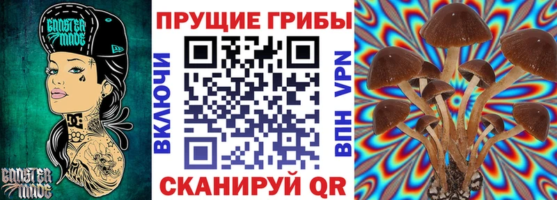 Псилоцибиновые грибы мицелий магазин продажи наркотиков Николаевск-на-Амуре